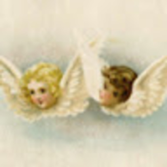 Meet your Posher, Ava - Picture 1 of 1